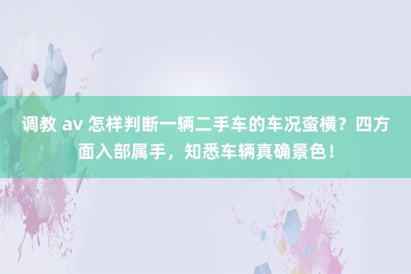 调教 av 怎样判断一辆二手车的车况蛮横？四方面入部属手，知悉车辆真确景色！