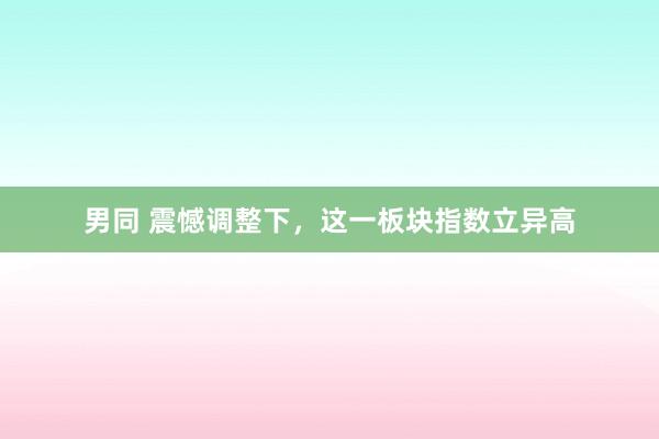 男同 震憾调整下，这一板块指数立异高