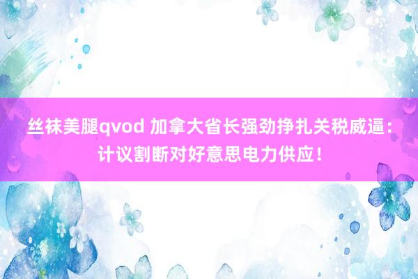 丝袜美腿qvod 加拿大省长强劲挣扎关税威逼：计议割断对好意思电力供应！