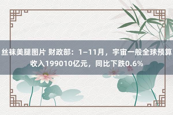 丝袜美腿图片 财政部：1—11月，宇宙一般全球预算收入199010亿元，同比下跌0.6%