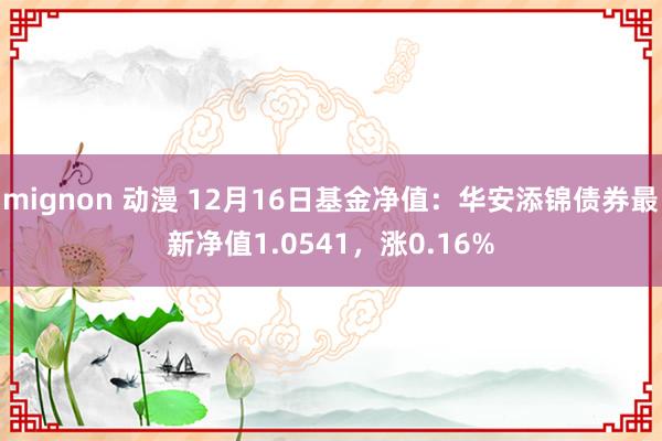 mignon 动漫 12月16日基金净值：华安添锦债券最新净值1.0541，涨0.16%