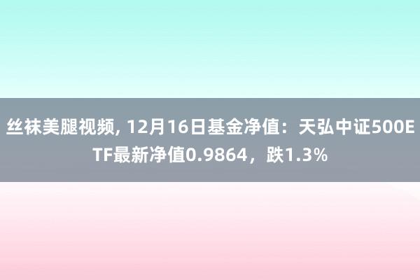 丝袜美腿视频， 12月16日基金净值：天弘中证500ETF最新净值0.9864，跌1.3%