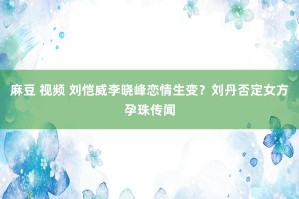 麻豆 视频 刘恺威李晓峰恋情生变？刘丹否定女方孕珠传闻