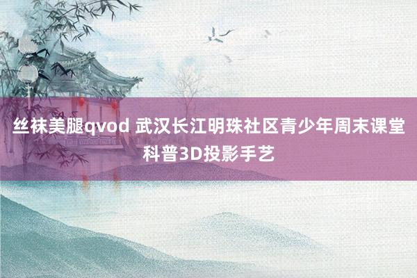 丝袜美腿qvod 武汉长江明珠社区青少年周末课堂科普3D投影手艺