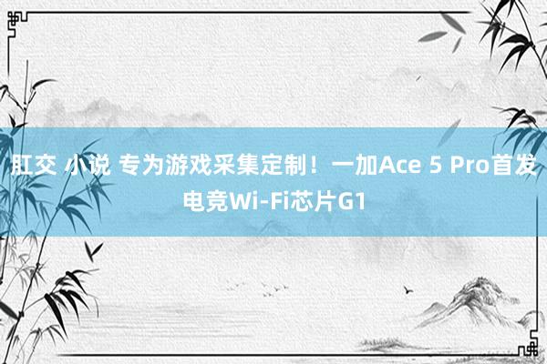 肛交 小说 专为游戏采集定制！一加Ace 5 Pro首发电竞Wi-Fi芯片G1