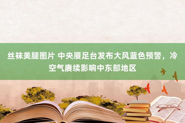 丝袜美腿图片 中央餍足台发布大风蓝色预警，冷空气赓续影响中东部地区