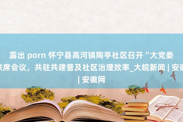 露出 porn 怀宁县高河镇陶亭社区召开“大党委”联席会议，共驻共建普及社区治理效率_大皖新闻 | 安徽网