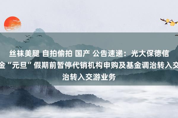 丝袜美腿 自拍偷拍 国产 公告速递：光大保德信货币基金“元旦”假期前暂停代销机构申购及基金调治转入交游业务