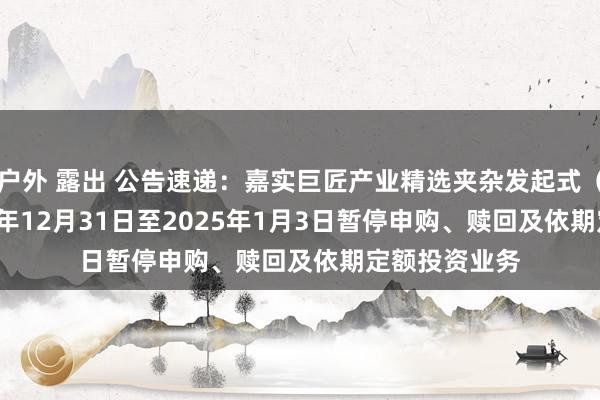 户外 露出 公告速递：嘉实巨匠产业精选夹杂发起式（QDII）2024年12月31日至2025年1月3日暂停申购、赎回及依期定额投资业务