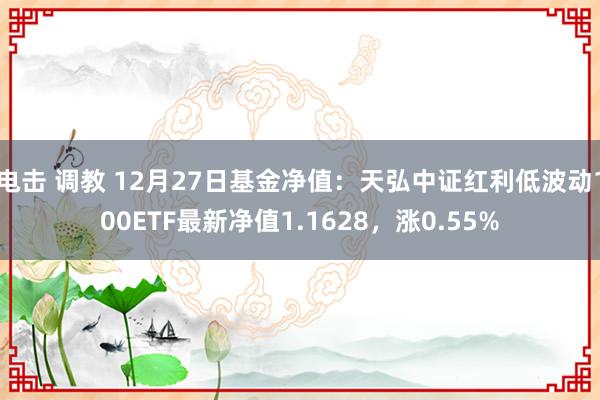 电击 调教 12月27日基金净值：天弘中证红利低波动100ETF最新净值1.1628，涨0.55%