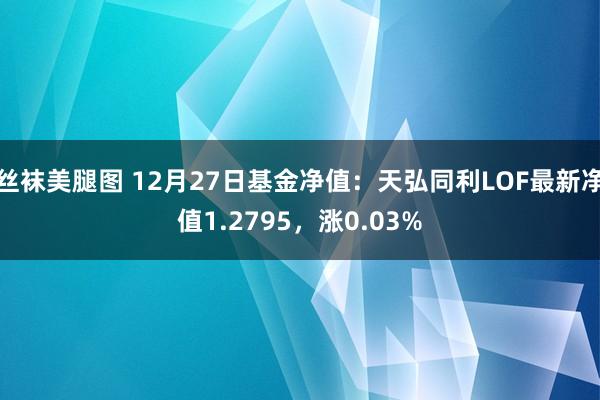 丝袜美腿图 12月27日基金净值：天弘同利LOF最新净值1.2795，涨0.03%