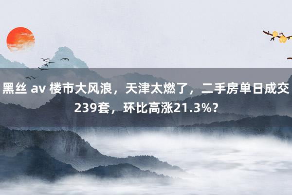 黑丝 av 楼市大风浪，天津太燃了，二手房单日成交239套，环比高涨21.3%？