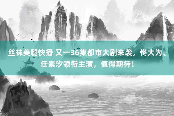 丝袜美腿快播 又一36集都市大剧来袭，佟大为、任素汐领衔主演，值得期待！