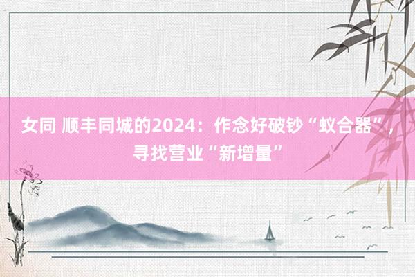 女同 顺丰同城的2024：作念好破钞“蚁合器”，寻找营业“新增量”