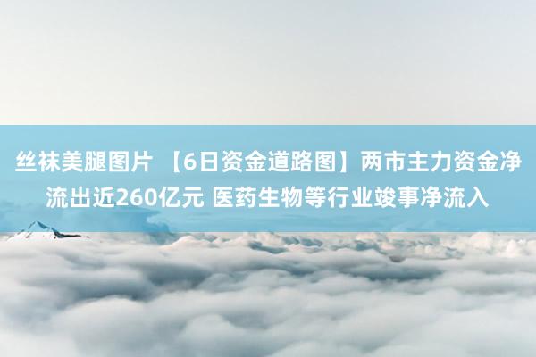 丝袜美腿图片 【6日资金道路图】两市主力资金净流出近260亿元 医药生物等行业竣事净流入