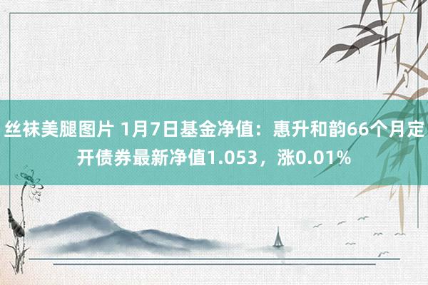 丝袜美腿图片 1月7日基金净值：惠升和韵66个月定开债券最新净值1.053，涨0.01%