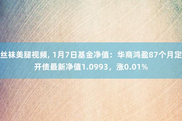 丝袜美腿视频， 1月7日基金净值：华商鸿盈87个月定开债最新净值1.0993，涨0.01%