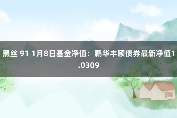 黑丝 91 1月8日基金净值：鹏华丰颐债券最新净值1.0309