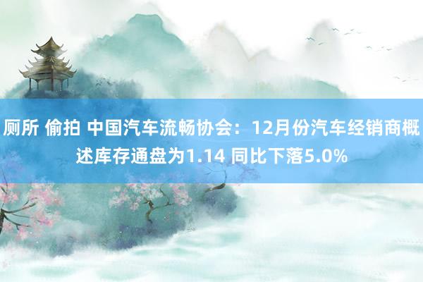 厕所 偷拍 中国汽车流畅协会：12月份汽车经销商概述库存通盘为1.14 同比下落5.0%