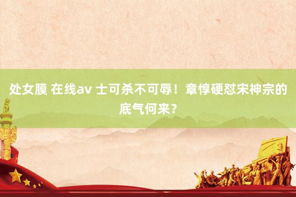 处女膜 在线av 士可杀不可辱！章惇硬怼宋神宗的底气何来？